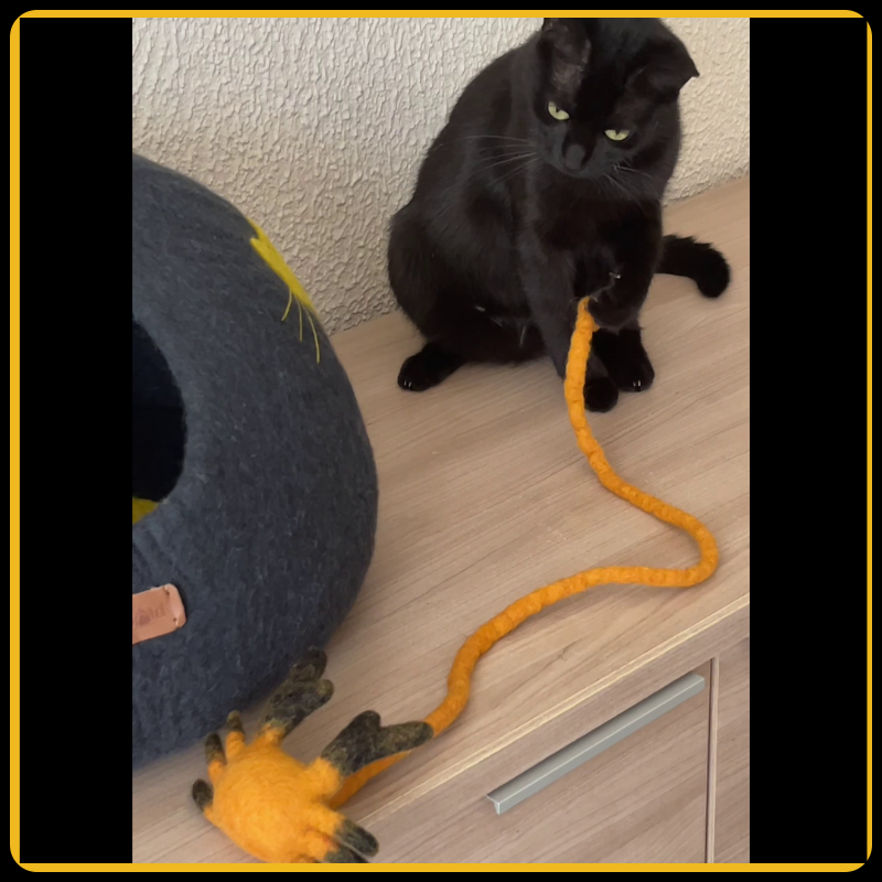 lit_pour_chat_marigold_en_laine_100_naturelle