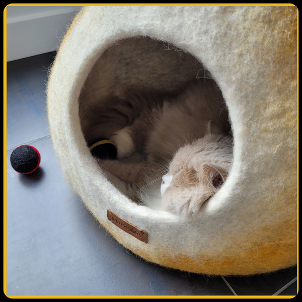 Maison pour chat potir MariGold