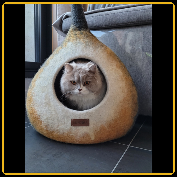 Maison pour chat potir MariGold